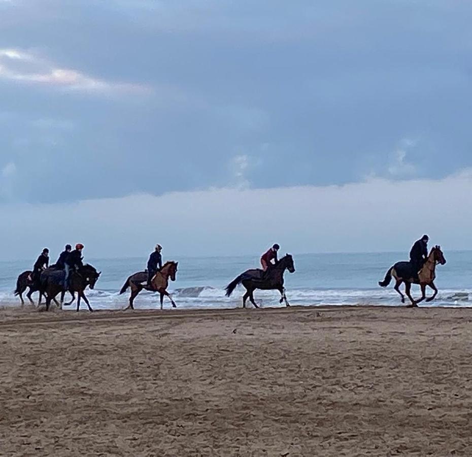 L'Escale A Deauville Exterior photo